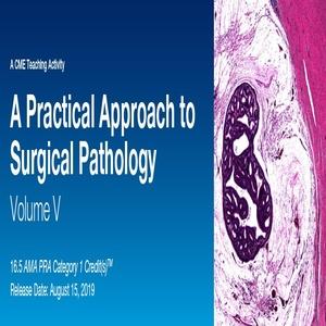 2019 外科病理学的实用方法，卷。 V | 医学视频课程。