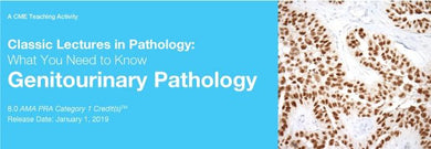 2019 Classic Lectures in Pathology What You Need to Know Genitourinary Pathology | Medical Video Courses.