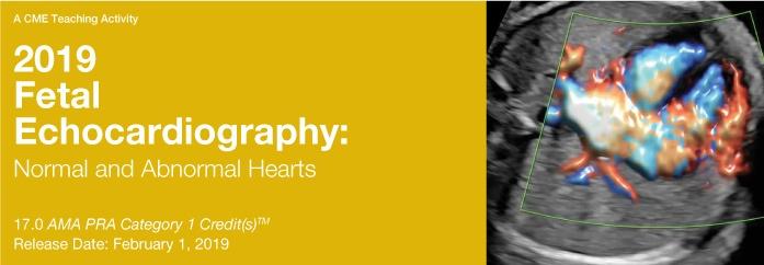 2019 Fetal Echocardiography Normal and Abnormal Hearts | Medical Video Courses.