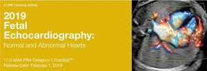 ປີ 2019 Fetal Echocardiography ຫົວໃຈ ທຳ ມະດາແລະຜິດປົກກະຕິ | ວິດີໂອທາງການແພດ.