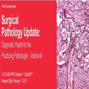Perlas diagnósticas de actualización de patología quirúrgica de 2019 para el patólogo en ejercicio Vol. III | Cursos de video médico.