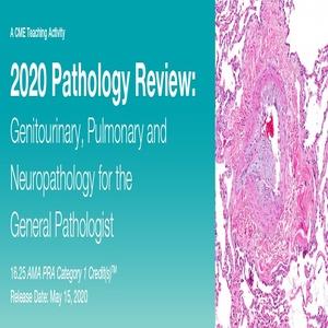 Vuoden 2020 patologiakatsaus Yleispatologin virtsa-, keuhko- ja neuropatologia | Lääketieteelliset videokurssit.