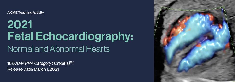 2021 Fetal Echocardiography: Normal and Abnormal Hearts | Medical Video Courses.