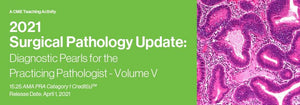 2021 年外科病理学更新：执业病理学家的诊断珍珠 – 第五卷 | 医学视频课程。