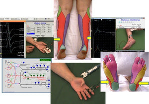 EMG/NCS tiešsaistes sērija: III sējums sensoro nervu vadīšanas pētījumi (2. izdevums) (video)