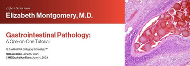 Expert Series with Elizabeth Montgomery, M.D.: Gastrointestinal Pathology: A One-On-One Tutorial 2021 | Medical Video Courses.