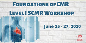 CMR-ന്റെ അടിസ്ഥാനങ്ങൾ - ലെവൽ I SCMR വർക്ക്ഷോപ്പ് 2020 | മെഡിക്കൽ വീഡിയോ കോഴ്സുകൾ.
