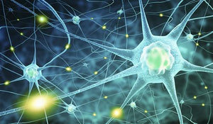 Neurologi Harvard untuk Bukan Pakar Neurologi 2022