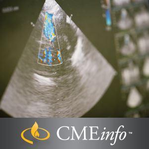 Intensieve Vasculaire Echografie Interpretatie Beoordeling en Registratie Voorbereiding 2018 | Medische videocursussen.