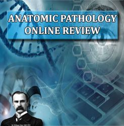 Osler Anatomic Pathology 2020 Review en línia | Cursos de vídeo mèdic.