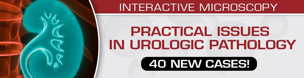 USCAP Practical Issues in Urologic Pathology – 40 New Cases!	2021