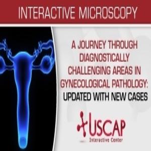 USCAP Пътешествие през диагностично предизвикателни области в гинекологичната патология, актуализирано с нови случаи 2019 | Медицински видео курсове.
