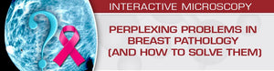 USCAP збунувачки проблеми во патологијата на дојката (и како да ги решите) 2020 | Медицински видео курсеви.