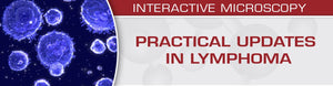 USCAP Praktiske opdateringer i lymfom 2018 | Medicinske videokurser.