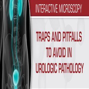 USCAP Traps And Pitfalls Upang Iwasan Sa Urologic Pathology 2019 | Mga Kurso sa Video na Medikal.