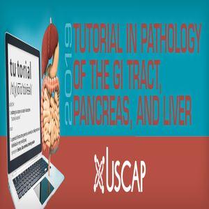 Tutorial tal-USCAP fil-Patoloġija tal-GI, il-Frixa u l-Fwied 2019 | Korsijiet tal-Vidjo Mediku.