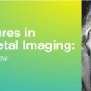 2019 Classic Lectures in Musculoskeletal Imaging What You Need to Know | Medical Video Courses.