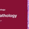 2019 Classic Lectures in Pathology What You Need to Know Endocrine Pathology | Medical Video Courses.