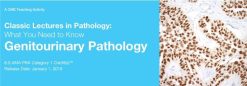 2019 Classic Lectures in Pathology What You Need to Know Genitourinary Pathology | Medical Video Courses.