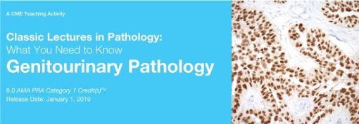 2019 Classic Lectures in Pathology What You Need to Know Genitourinary Pathology | Medical Video Courses.