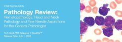 2019 Pathology Review Hematopathology
