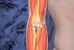 2020 Mayo Clinic Teach the Teachers Elbow Course – Forging the Future