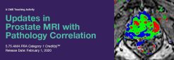 2020 Updates in Prostate MRI with Pathology Correlation | Medical Video Courses.