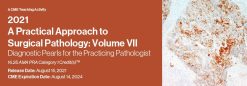 2021 A Practical Approach to Surgical Pathology: Volume VII Diagnostic Pearls for the Practicing Pathologist