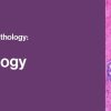 2021 Classic Lectures in Pathology: What You Need to Know: Breast Pathology | Medical Video Courses.