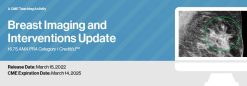 2022 Breast Imaging and Interventions Update