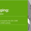 Abdominal Imaging A Compressive Review 2017 | Medical Video Courses.