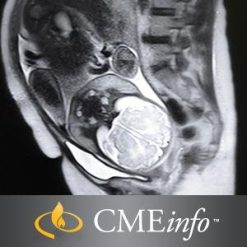 Advances in Fetal and Neonatal Imaging 2017 (Videos+PDFs) | Medical Video Courses.
