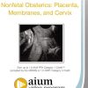 AIUM Nonfetal Obstetrics: Placenta