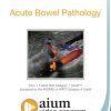 AIUM Point-of-Care Ultrasound Assessment of Acute Bowel Pathology | Medical Video Courses.