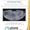 AIUM Practice Guideline for the Female Pelvis | Medical Video Courses.