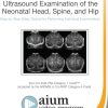 AIUM Practice Parameter for Ultrasound Examination of the Neonatal Head
