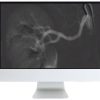 ARRS Case-Based Subspecialty Review 2021 | Medical Video Courses.