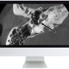 ARRS Deep Dive into Head and Neck Radiology 2020 | Medical Video Courses.