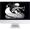 ARRS Highlights in Thoracic and Cardiovascular Imaging 2019 | Medical Video Courses.