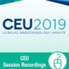 CEU Clinical Endocrinology Update 2019 Session Recordings | Medical Video Courses.