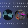 CME Science Thyroid & Gallbladder Imaging (Program 1) – Aya Kamaya