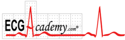ECG ACADEMY 2020 | Medical Video Courses.