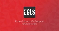 ECHO-Guided Life Support Using ultrasound to categorise shock and guide initial management
