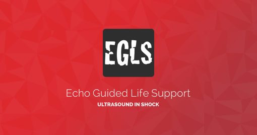 ECHO-Guided Life Support Using ultrasound to categorise shock and guide initial management