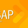 EchoSAP (Echocardiography Self-Assessment Program) 2020 | Medical Video Courses.