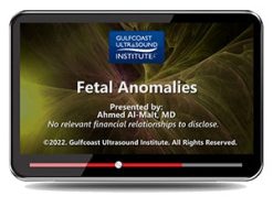 GCUS Fetal Anomalies 2022 (VIDEOS)