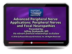 Gulfcoast Advanced Peripheral Nerve Applications (Videos+PDFs) | Medical Video Courses.