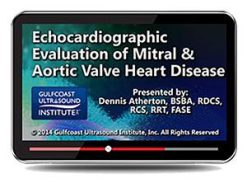 Gulfcoast Echocardiographic Evaluation of Mitral & Aortic Valve Heart Disease (Videos+PDFs) | Medical Video Courses.