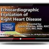 Gulfcoast Echocardiographic Evaluation of Right Heart Disease (Videos+PDFs) | Medical Video Courses.
