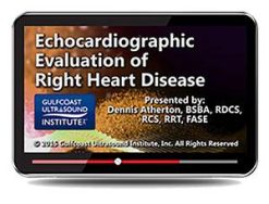 Gulfcoast Echocardiographic Evaluation of Right Heart Disease (Videos+PDFs) | Medical Video Courses.